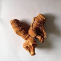 Galangal root